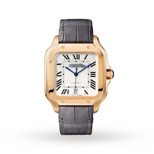 CTR006 Men Automatic Silver Alligator Watch 08039